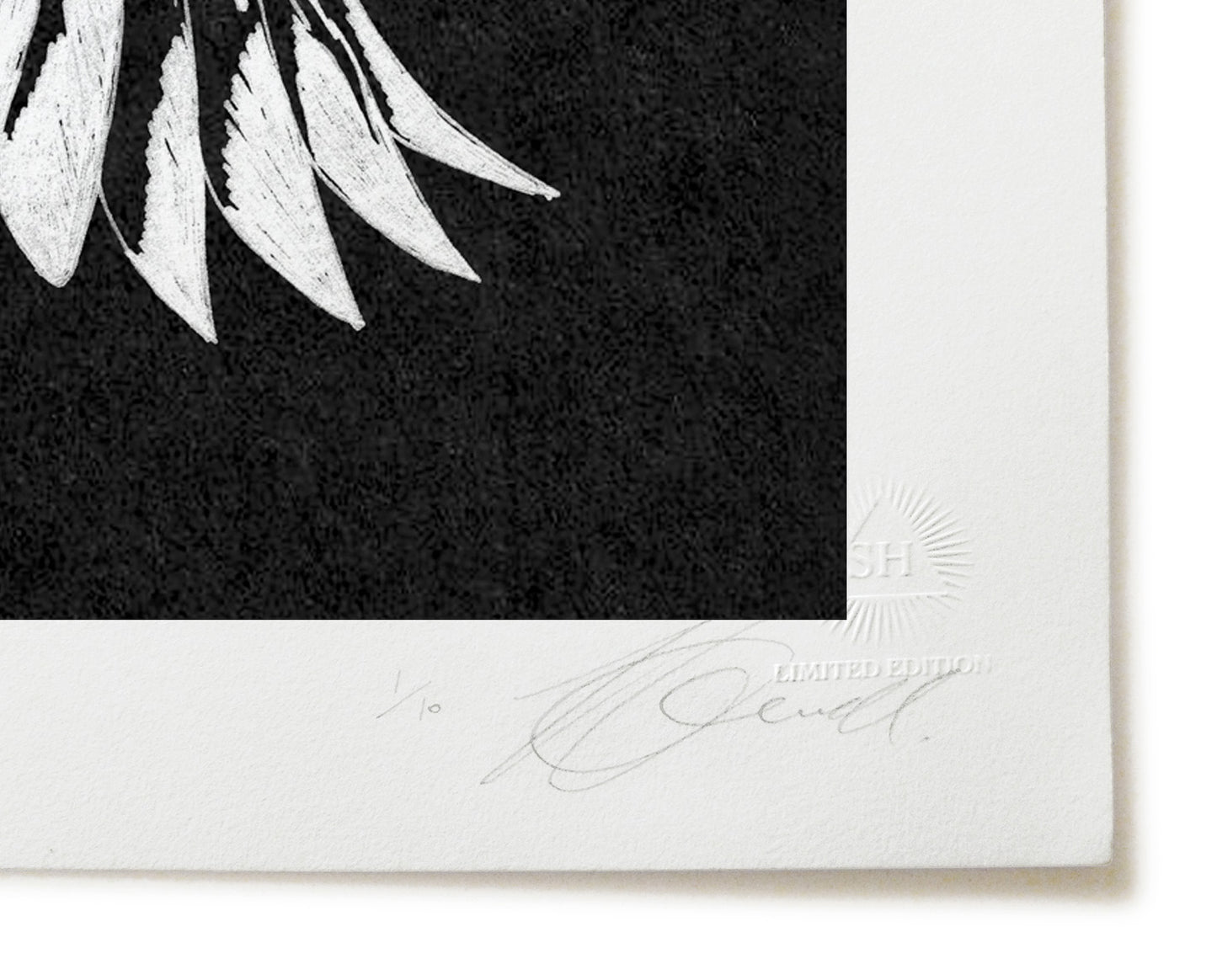 Limited Edition Print: Bird Man