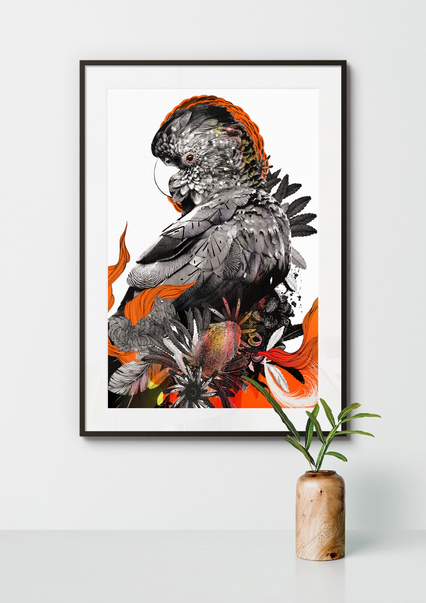 Limited Edition Print: Red Tailed Black Cockatoo