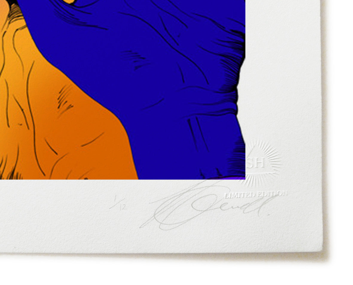 Limited Edition Print: Shadow Dove