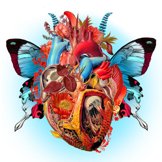 Butterfly Heart Print - Sarah Howell Limited Edition - 1